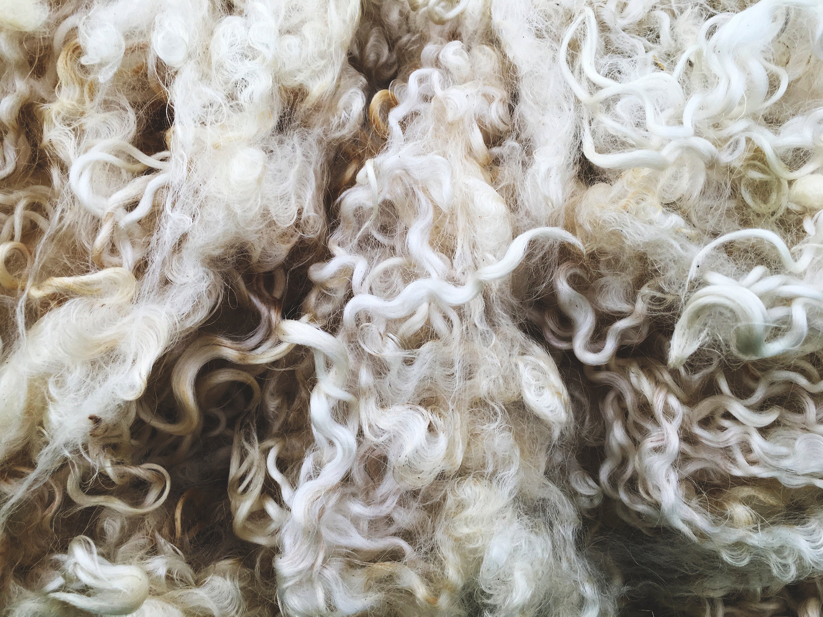 Características de la lana de alpaca